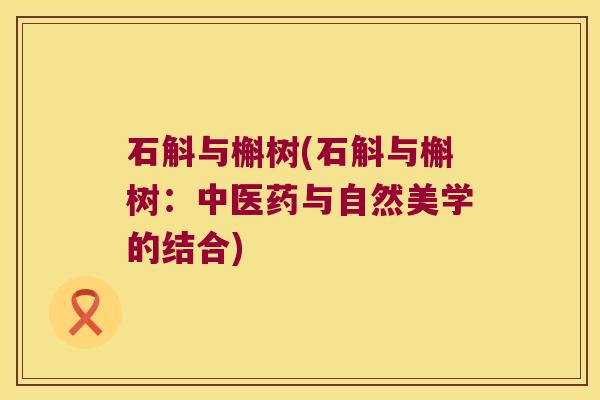 石斛与槲树(石斛与槲树：中医药与自然美学的结合)