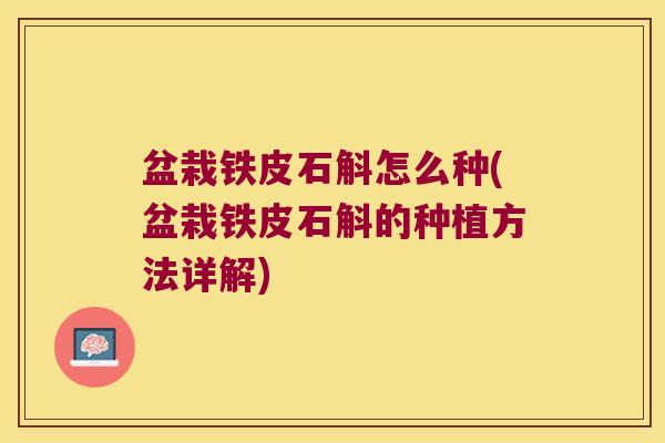 盆栽铁皮石斛怎么种(盆栽铁皮石斛的种植方法详解)