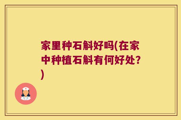 家里种石斛好吗(在家中种植石斛有何好处?) 家里种石斛好吗(在家中种植石斛有何好处?)