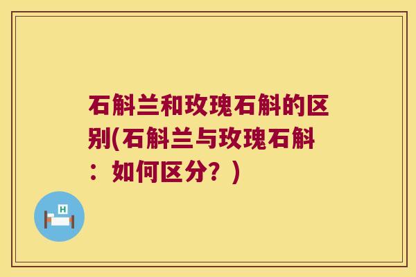 石斛兰和玫瑰石斛的区别(石斛兰与玫瑰石斛：如何区分？)