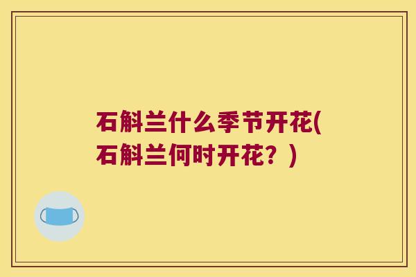 石斛兰什么季节开花(石斛兰何时开花？)
