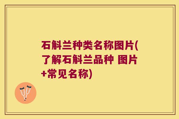 石斛兰种类名称图片(了解石斛兰品种 图片+常见名称)