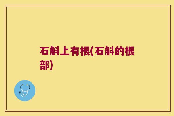 石斛上有根(石斛的根部)