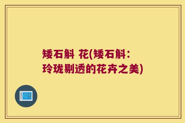 矮石斛 花(矮石斛：玲珑剔透的花卉之美)