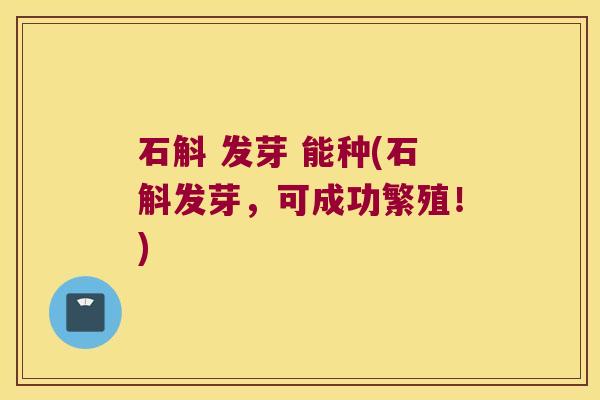 石斛 发芽 能种(石斛发芽,可成功繁殖!) 石斛 发芽 能种(石斛发芽,可成功繁殖!)