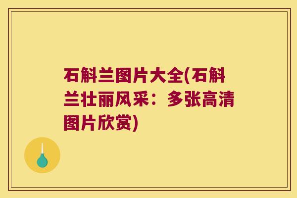 石斛兰图片大全(石斛兰壮丽风采：多张高清图片欣赏)