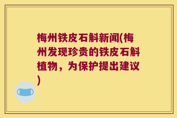 梅州铁皮石斛新闻(梅州发现珍贵的铁皮石斛植物，为保护提出建议)