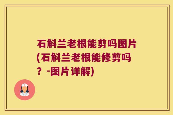 石斛兰老根能剪吗图片(石斛兰老根能修剪吗？-图片详解)