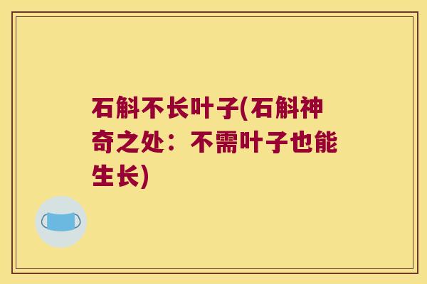 石斛不长叶子(石斛神奇之处：不需叶子也能生长)