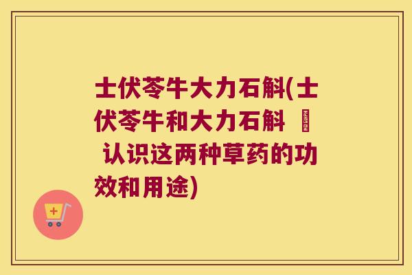 士伏苓牛大力石斛(士伏苓牛和大力石斛 – 认识这两种草药的功效和用途)