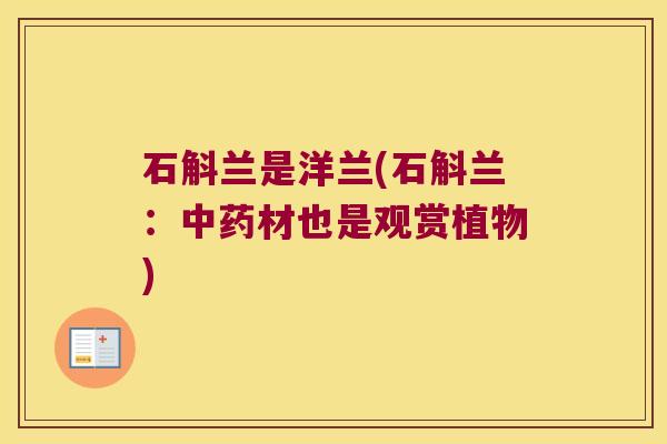 石斛兰是洋兰(石斛兰：中药材也是观赏植物)