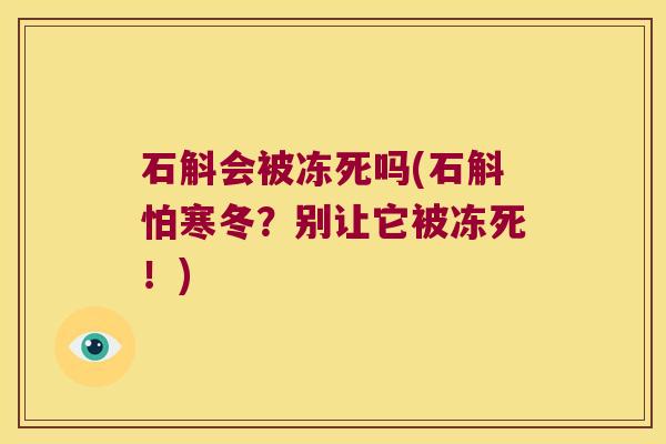 石斛会被冻死吗(石斛怕寒冬？别让它被冻死！)
