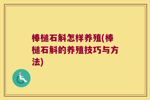 棒槌石斛怎样养殖(棒槌石斛的养殖技巧与方法)