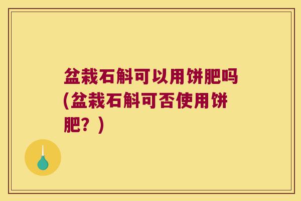 盆栽石斛可以用饼肥吗(盆栽石斛可否使用饼肥？)