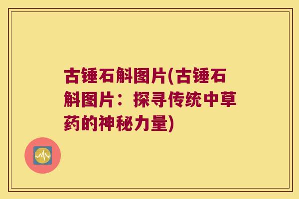 古锤石斛图片(古锤石斛图片：探寻传统中草药的神秘力量)