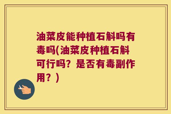 油菜皮能种植石斛吗有毒吗(油菜皮种植石斛可行吗？是否有毒副作用？)