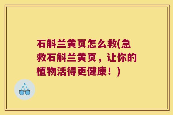 石斛兰黄页怎么救(急救石斛兰黄页，让你的植物活得更健康！)