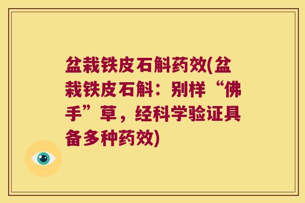 盆栽铁皮石斛药效(盆栽铁皮石斛：别样“佛手”草，经科学验证具备多种药效)