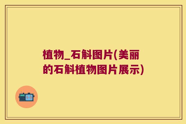 植物_石斛图片(美丽的石斛植物图片展示) 植物_石斛图片(美丽的石斛植物图片展示)