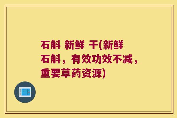 石斛 新鲜 干(新鲜石斛，有效功效不减，重要草药资源)