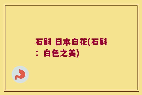 石斛 日本白花(石斛:白色之美) 石斛 日本白花(石斛:白色之美)