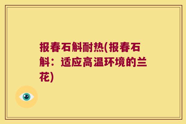 报春石斛耐热(报春石斛：适应高温环境的兰花)