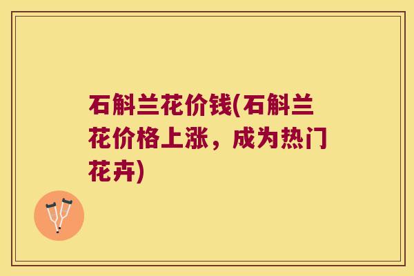 石斛兰花价钱(石斛兰花价格上涨，成为热门花卉)