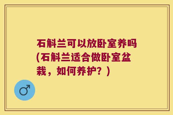 石斛兰可以放卧室养吗(石斛兰适合做卧室盆栽，如何养护？)