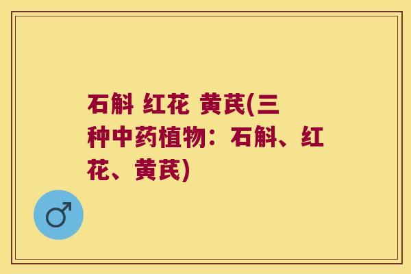 石斛 红花 黄芪(三种植物:石斛、红花、黄芪) 石斛 红花 黄芪(三种植物:石斛、红花、黄芪)