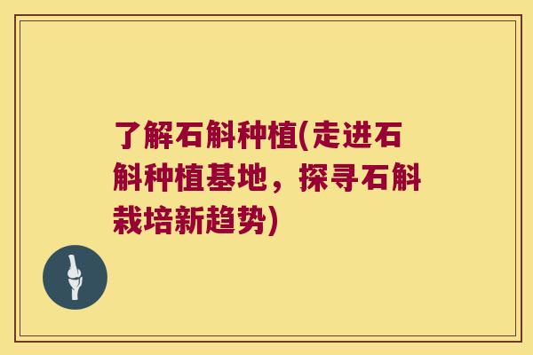 了解石斛种植(走进石斛种植基地,探寻石斛栽培新趋势) 了解石斛种植(走进石斛种植基地,探寻石斛栽培新趋势)