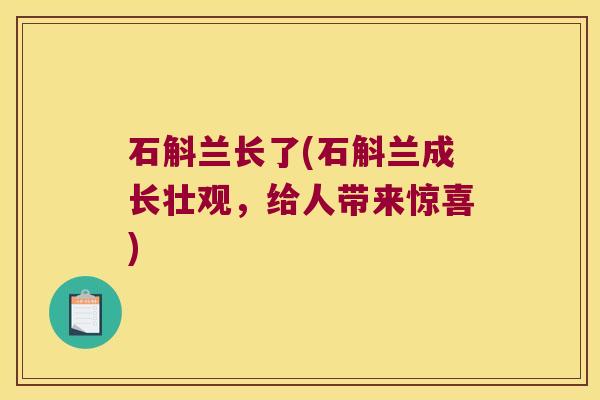 石斛兰长了(石斛兰成长壮观，给人带来惊喜)