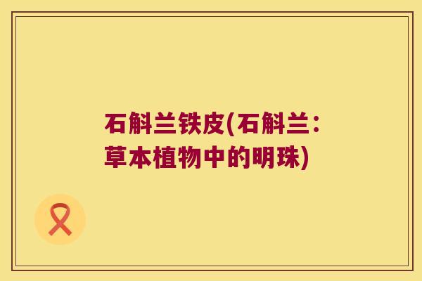 石斛兰铁皮(石斛兰:草本植物中的明珠) 石斛兰铁皮(石斛兰:草本植物中的明珠)
