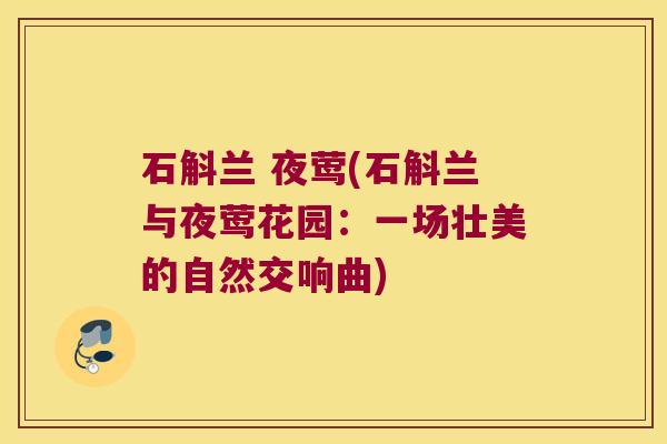 石斛兰 夜莺(石斛兰与夜莺花园:一场壮美的自然交响曲) 石斛兰 夜莺(石斛兰与夜莺花园:一场壮美的自然交响曲)