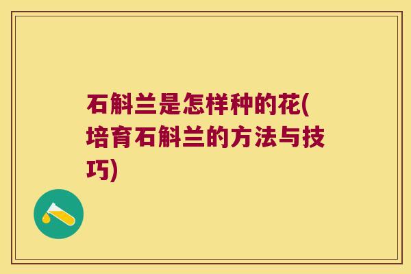 石斛兰是怎样种的花(培育石斛兰的方法与技巧) 石斛兰是怎样种的花(培育石斛兰的方法与技巧)