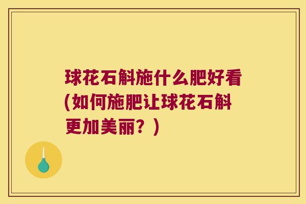 球花石斛施什么肥好看(如何施肥让球花石斛更加美丽？)
