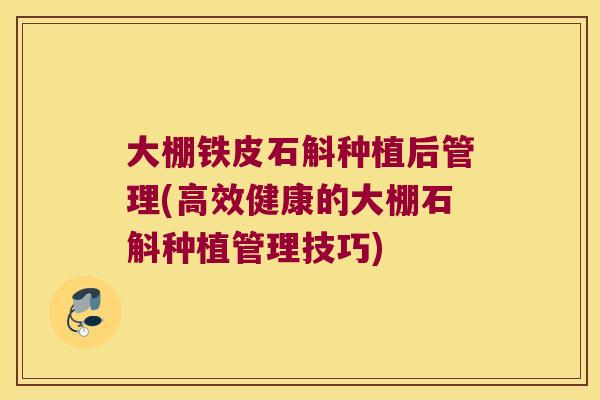 大棚铁皮石斛种植后管理(高效健康的大棚石斛种植管理技巧)