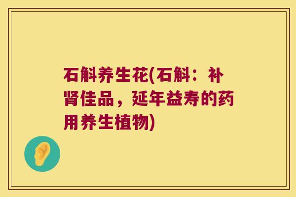 石斛养生花(石斛：补肾佳品，延年益寿的药用养生植物)