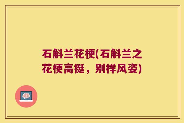 石斛兰花梗(石斛兰之花梗高挺,别样风姿) 石斛兰花梗(石斛兰之花梗高挺,别样风姿)