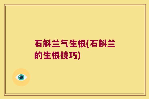 石斛兰气生根(石斛兰的生根技巧)