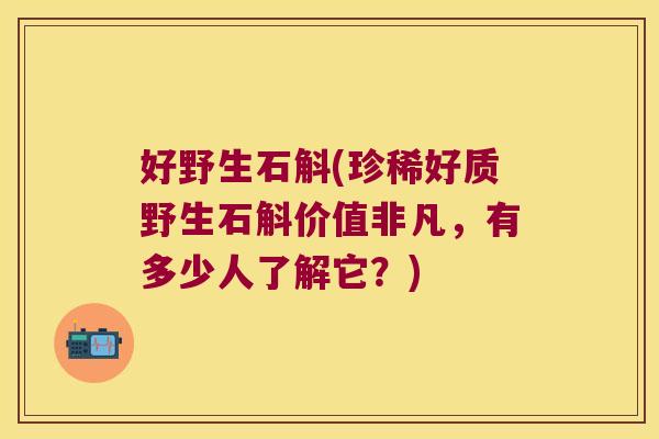 好野生石斛(珍稀好质野生石斛价值非凡，有多少人了解它？)