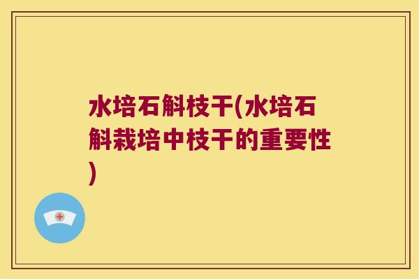 水培石斛枝干(水培石斛栽培中枝干的重要性)