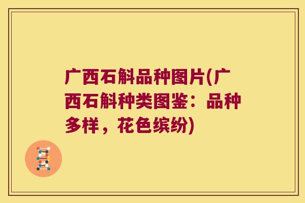 广西石斛品种图片(广西石斛种类图鉴：品种多样，花色缤纷)