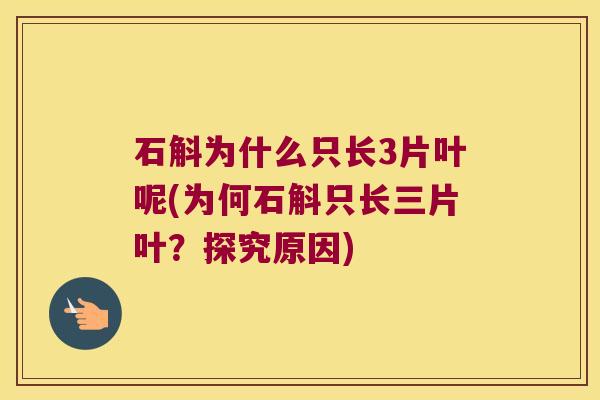 石斛为什么只长3片叶呢(为何石斛只长三片叶?探究原因) 石斛为什么只长3片叶呢(为何石斛只长三片叶?探究原因)