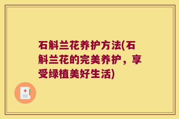 石斛兰花养护方法(石斛兰花的完美养护,享受绿植美好生活) 石斛兰花养护方法(石斛兰花的完美养护,享受绿植美好生活)