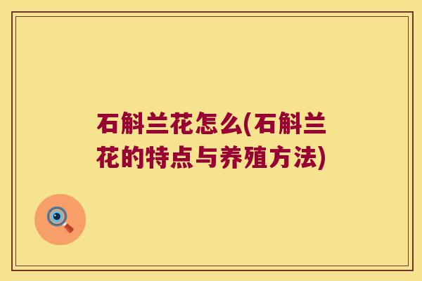 石斛兰花怎么(石斛兰花的特点与养殖方法) 石斛兰花怎么(石斛兰花的特点与养殖方法)