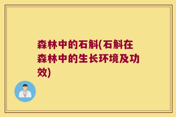 森林中的石斛(石斛在森林中的生长环境及功效)