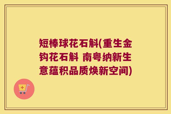 短棒球花石斛(重生金钩花石斛 南粤纳新生意蕴积品质焕新空间)