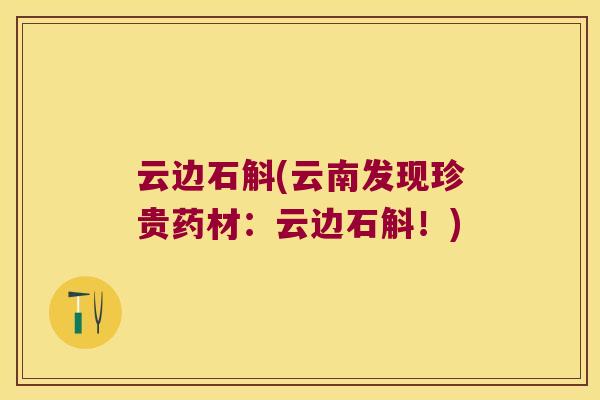 云边石斛(云南发现珍贵药材：云边石斛！)