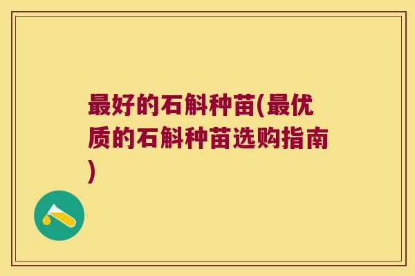 最好的石斛种苗(最优质的石斛种苗选购指南)