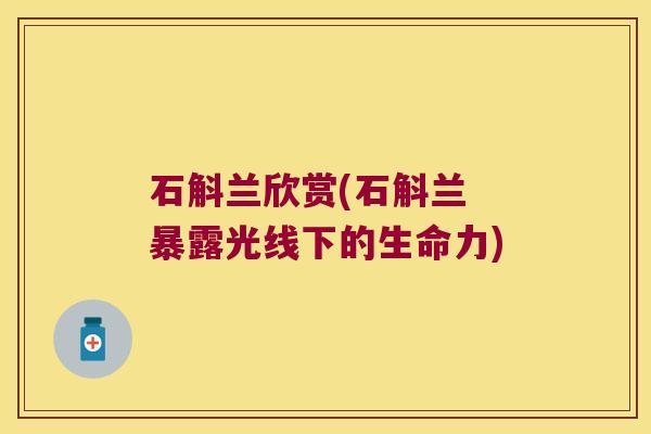 石斛兰欣赏(石斛兰 暴露光线下的生命力)